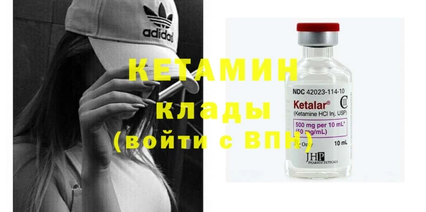 дживик Пересвет